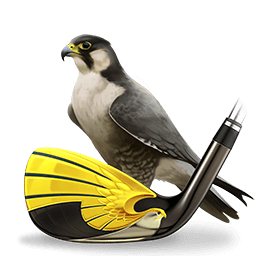 The Falcon